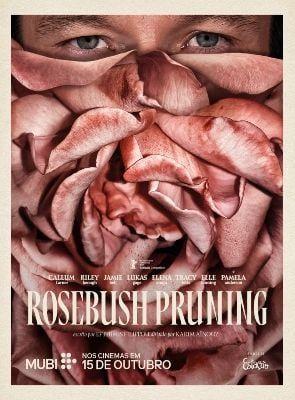 Rosebush Pruning banner